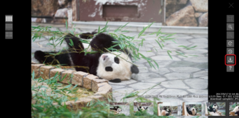 画像ファイルの場合