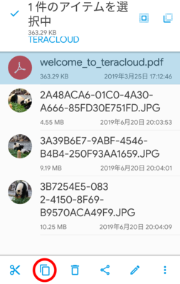 コピーするファイルを選択