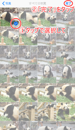 アップロード選択